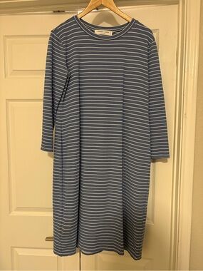 Sonnet James Blue Striped Casual Shift stretchy Dress